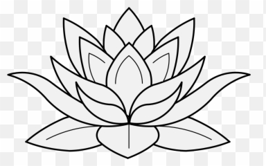 Lace Line Drawing Free Download - Lotus Flower png