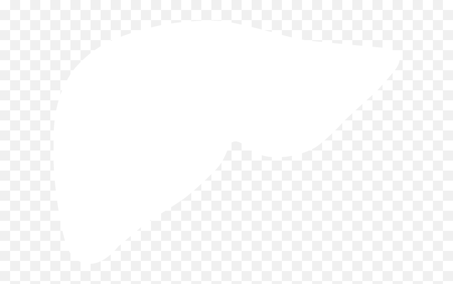 Liver - Liver Silhouette White Png,Liver Png
