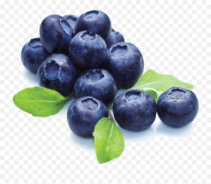 Png File For Designing Projects - Transparent Background Blueberries Png,Blueberries Png