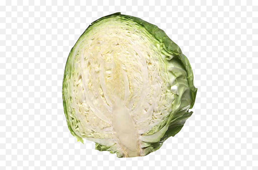 Fresh Produce Cabbage Green Each - Half Cabbage Png,Cabbage Transparent