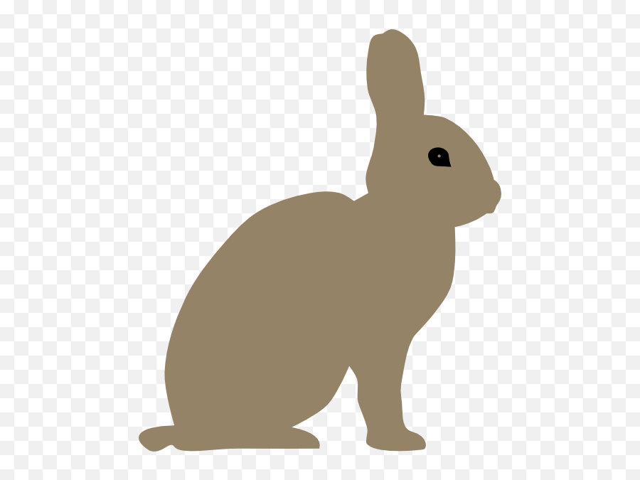 Grey Rabbit Clipart Png - Rabbit Drawing Side View,Rabbit Clipart Png