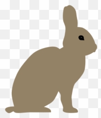 Grey Rabbit Clipart Png - Drawing Side View