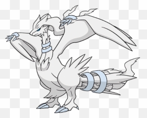 Where Are The Good Guys Hiding - Pokemon Reshiram Png,Moltres Png