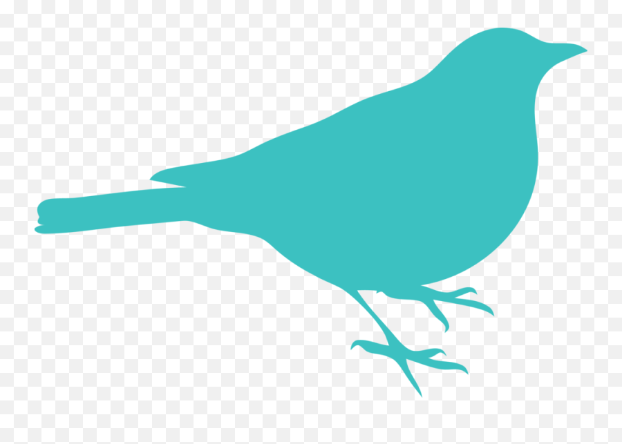 Free Bird Outline Cliparts Download - Robin Bird Silhouette Png,Bird Outline Png
