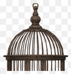 Bird Cage Transparent Png Image Free Clipart Vectors Psd - Silhouette Png