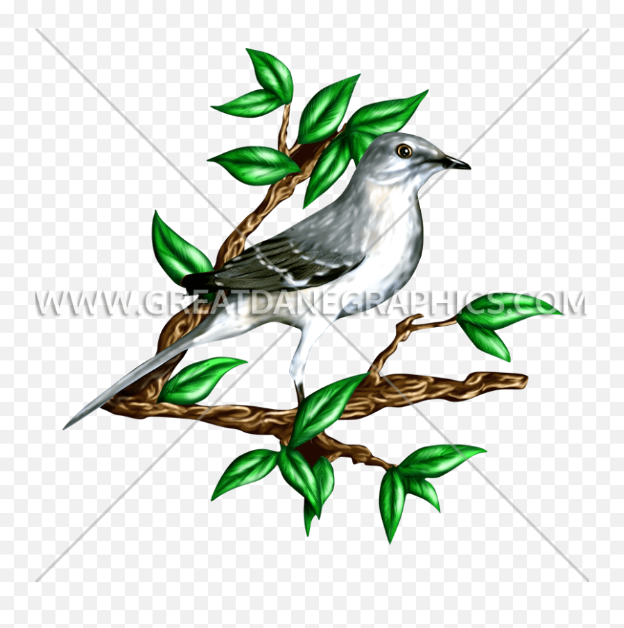 Production Ready Artwork For T - Eastern Kingbird Png,Mockingbird Png