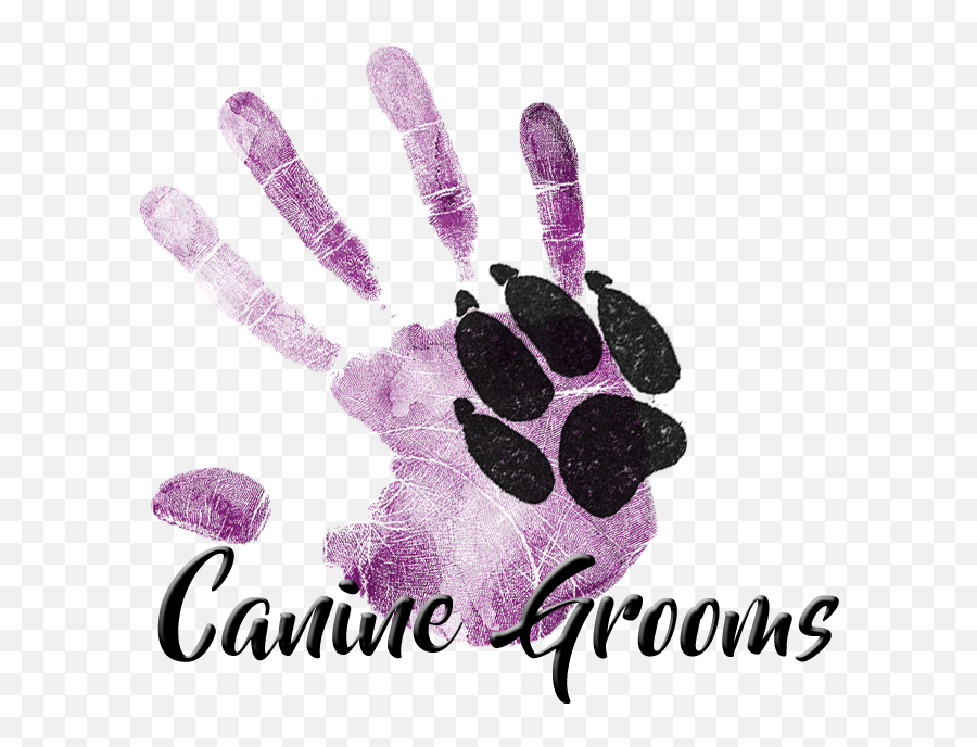 Dog Grooming Logo Ideas - Logo Ideas For Groomers Png,Dog Logos