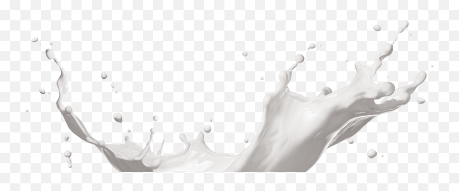 Ausnutria Producer Of Infant Formula And Milk Powder - Dolphin Png,Milk Splash Png