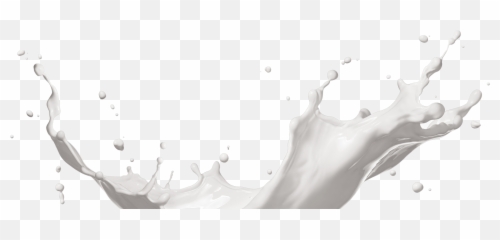 Ausnutria Producer Of Infant Formula And Milk Powder - Dolphin png