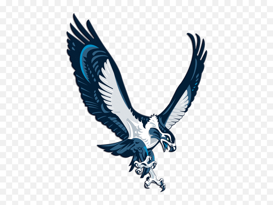 I Can Use Seahawk Logo - Seattle Seahawks Alternate Logo Png,Seahawk Logo Png