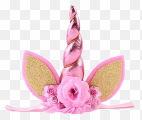 Flower Headband Png - Unicorn Horn Pink Png,Headband Png