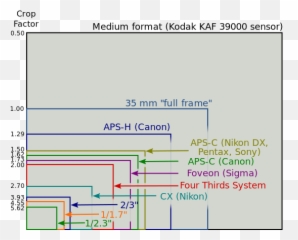 Sensor Size Pixels Resolution Dynamic Range - Underwater png