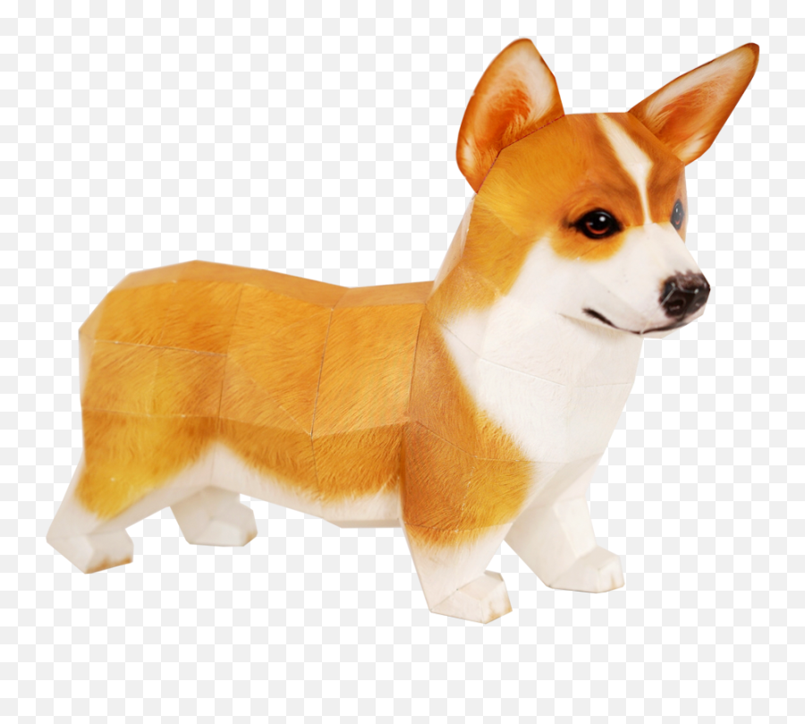 Download Pembroke Welsh Corgi Cardigan Paper - Cardigan Welsh Corgi Png,Corgi Png