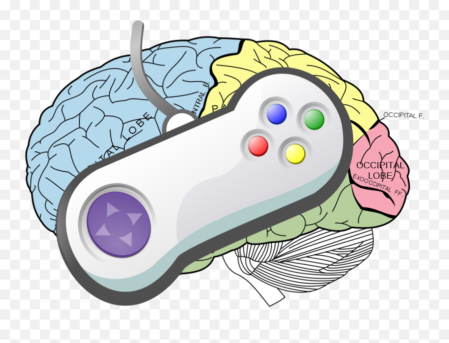 Lobes Of The Brain - 1000x722 Png Clipart Download Gamer Control Png,Cartoon Brain Png