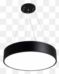 Download Twinkle Lights Png Image - Decorative For Gym