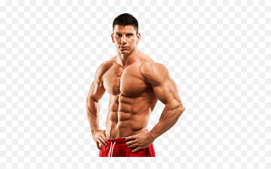Muscle Png Images Free Download - Transparent Muscle Body Png,Muscle Man Png