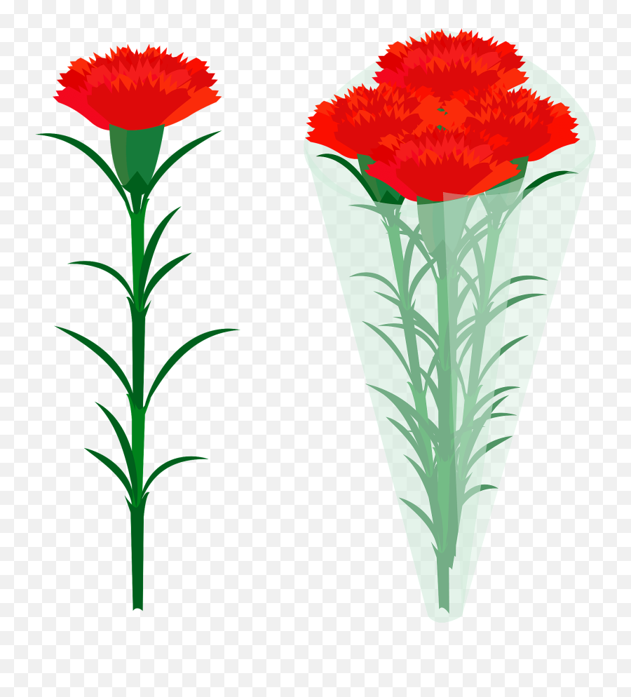 Red Carnation Flowers Clipart Png