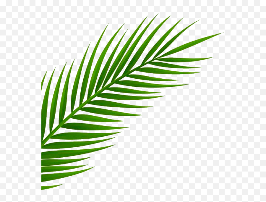 Neon Palm Tree Png - Inspired By A Recent Trip To Miami By Transparent Transparent Background Leaf Png,Palm Tree Leaves Png