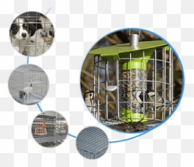 Stainless Steel Welded Wire Mesh U0026 Fence Cage Cart - Mesh Png,Steel Cage Png