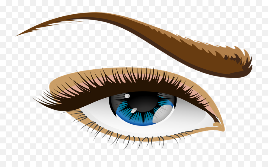 Eye Blue Eyes Eyelid - Human Eyes Clipart Png,Blue Eye Png