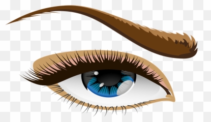 Eye Blue Eyes Eyelid - Human Clipart Png