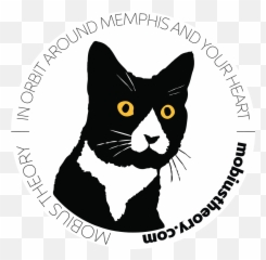 Memphis Bridge North View Black - Domestic Cat png