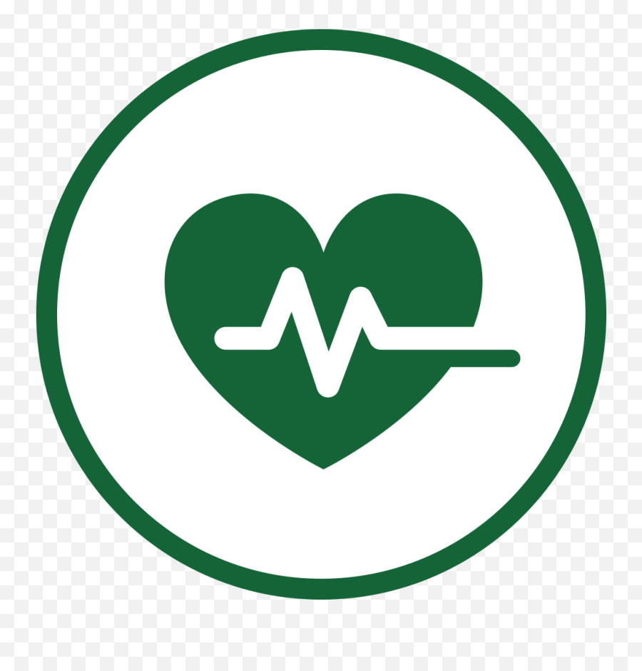 Health Insurance Icon Green Png - Tijuana Taxi Co,Omega Icon