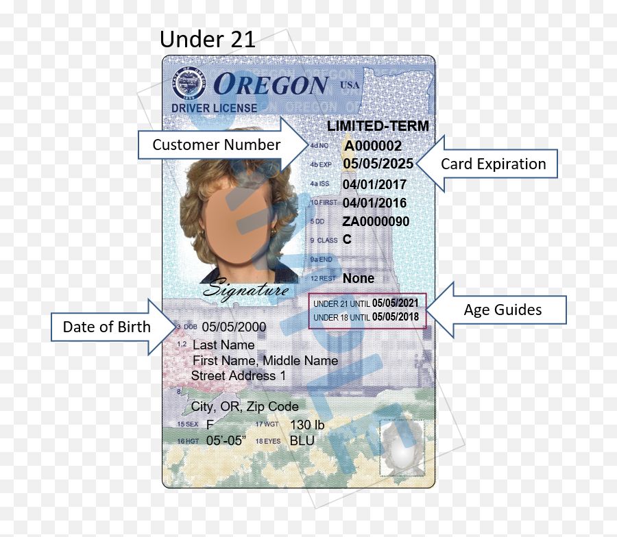 Oregon Driver Licenses And Id Cards - Permit Number Located Oregon Png,Dmv Icon