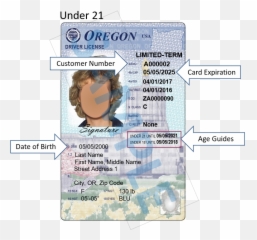 Oregon Driver Licenses And Id Cards - Permit Number Located png