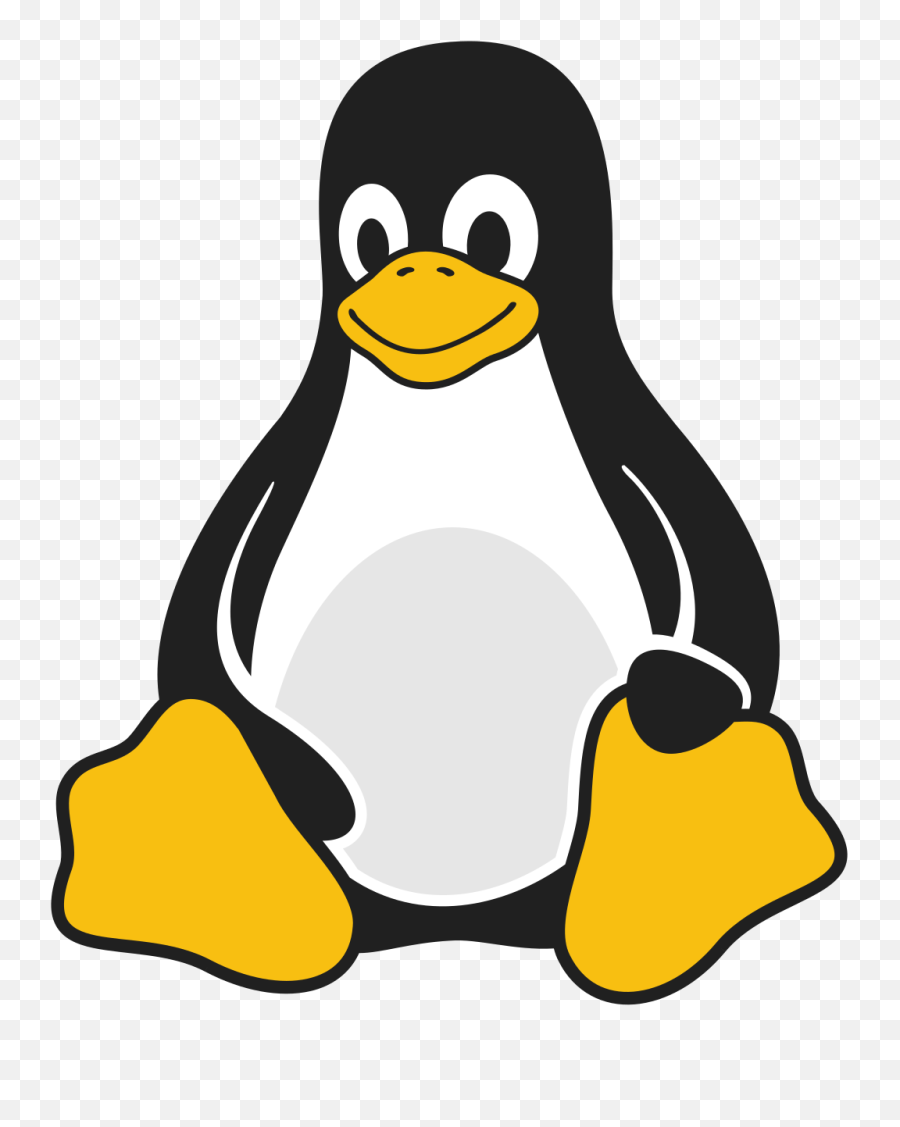 Things Most People Do After Installing Debian - Linux Stans Linux Tux Png,Kali Linux Icon