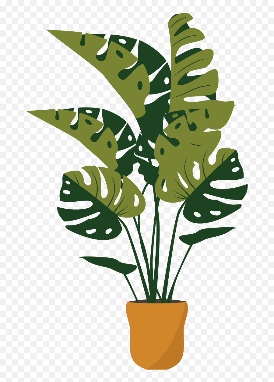 Free Png Plant