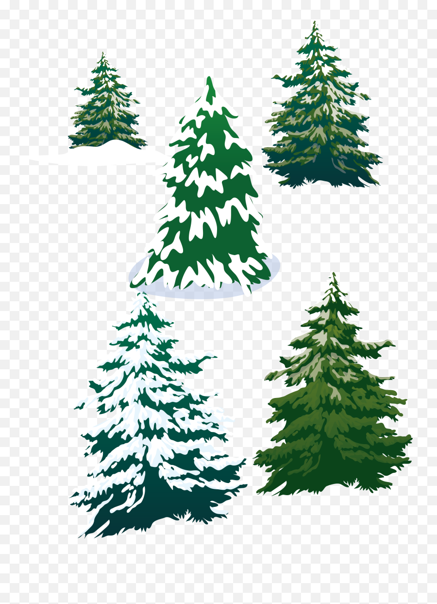 Vector Snowy Pine Trees Png Download - 25583420 Free Snowy Pine Trees Clip Art,Snowy Trees Png