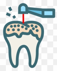 Specialized Dental U2013 Gainesville Fl Cruz Davis Family Png
