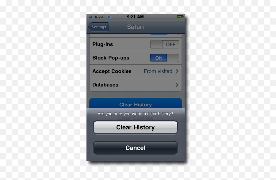 Iphone Safari Browser Privacy And Security - History Png,Safari Icon Ipad