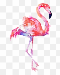 Flamingo Transparent Water Color - Clip Art Transparent Background Flamingo Png,Flamingo Transparent Background