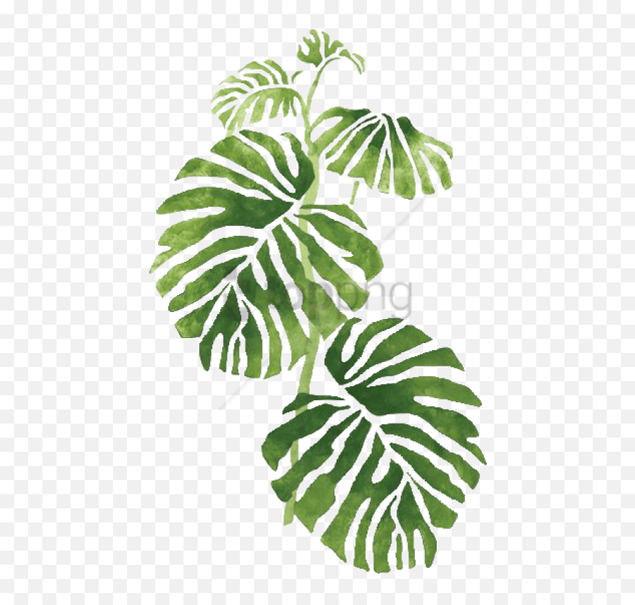 Leaf Png Tumblr 3 Image - Watercolour Plants,Tropical Leaf Png