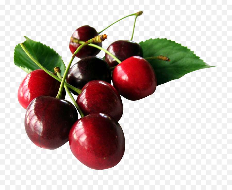 Cherry Png Images - Pngpix Png Fruit Png Cherry,Cherries Png