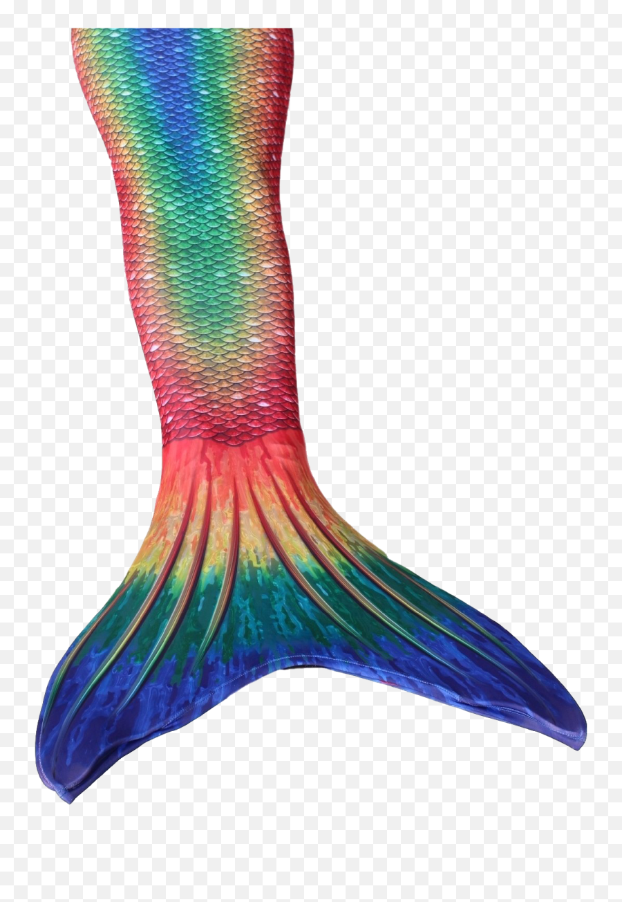 Mermaid Tail Png - Real Mermaid Tails Rainbow,Mermaid Tail Png