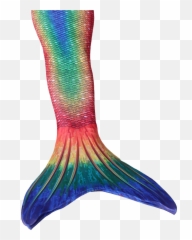 Mermaid Tail Png - Real Tails Rainbow