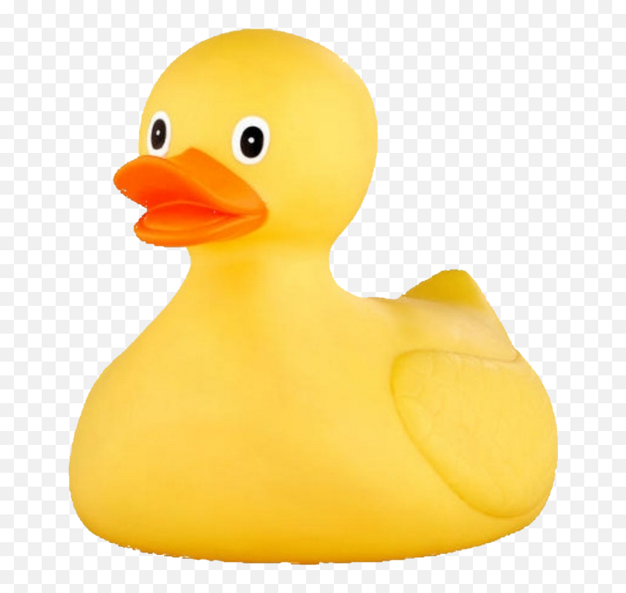 Duck For Life - Integrity Integrated Rubber Ducky Large Png,Rubber Duck Png