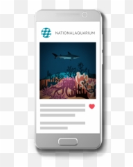 National Aquarium Acrylic - png