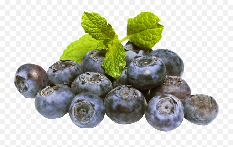 Blueberries Png Image Clipart Vectors - Free High Resolution Blueberry,Blueberries Png