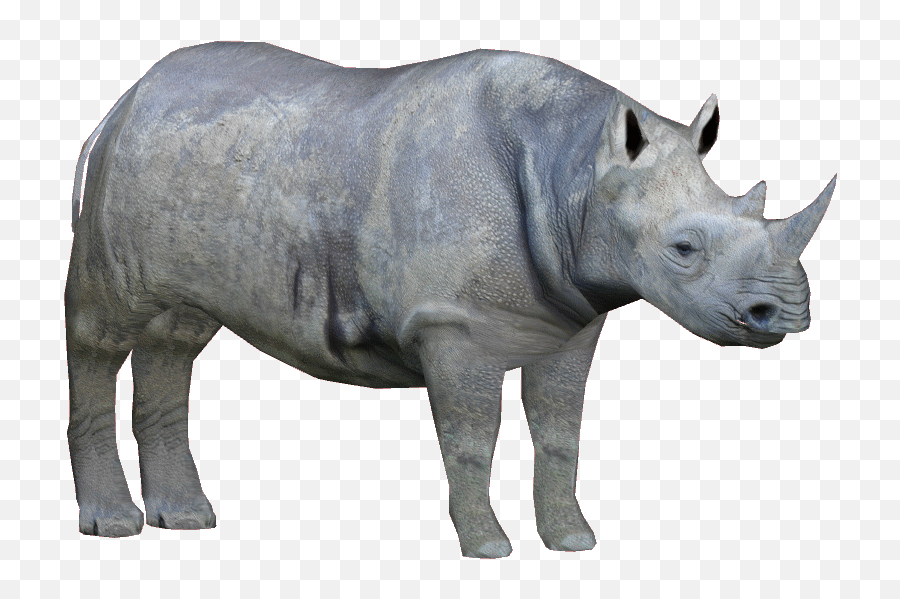 Rhino Png Transparent Background