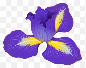 Download Free Png Iris Flower Clipart Gallery