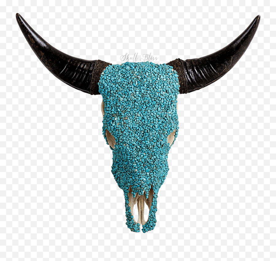Bull Horns Png - Cranio Bovino Pintado,Bull Horns Png