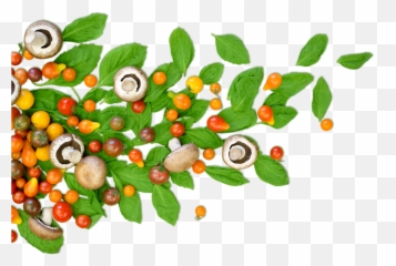 Natural Foods - Healthy Free Png