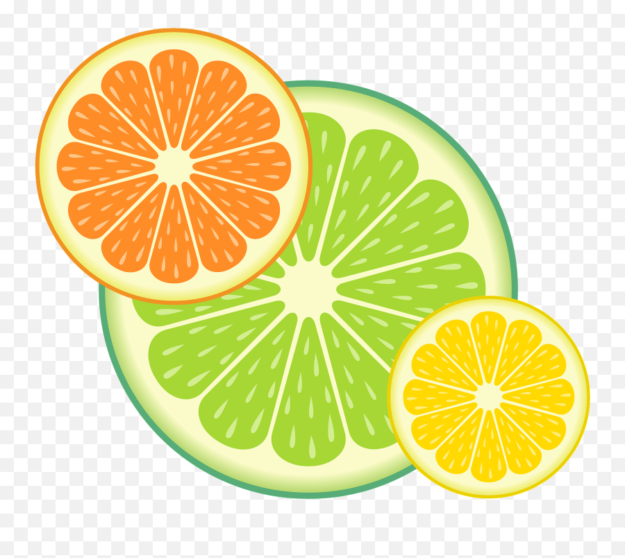 Citrus Fruit Slices Clipart - Citrus Fruit Clipart Png,Citrus Png