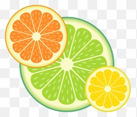 Citrus Fruit Slices Clipart - Citrus Fruit Clipart Png,Citrus Png