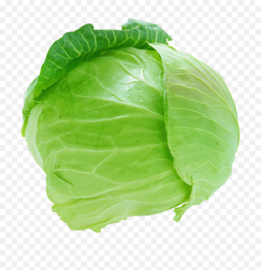 Vegetable Free Png Transparent Image - Cabbage Png,Vegetables Transparent Background