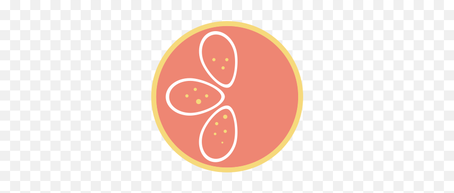 Orange Circle Logo Graphics Grapefruit - Soda Png,Grapefruit Icon